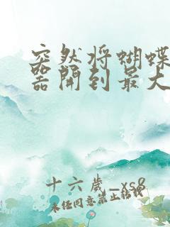 突然将蝴蝶遥控器开到最大