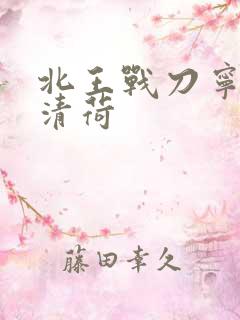北王战刀宁北苏清荷