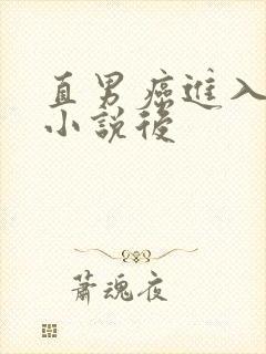 直男癌进入言情小说后
