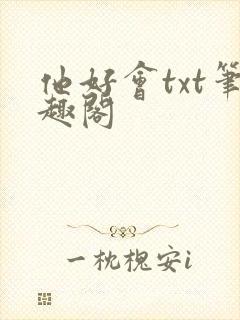 他好会txt笔趣阁