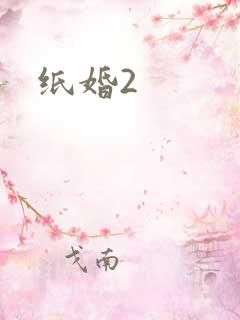 纸婚2