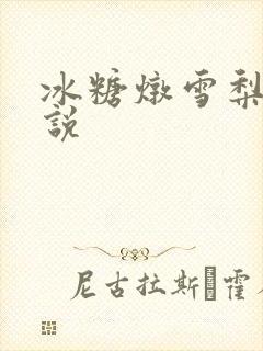 冰糖炖雪梨 小说