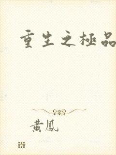 重生之极品三国