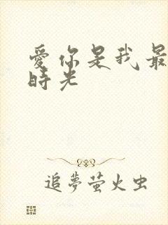 爱你是我最好的时光