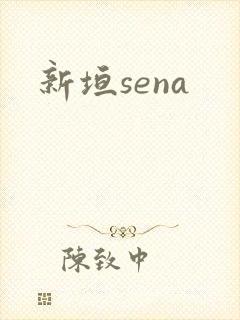 新垣sena