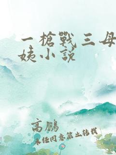 一枪战三母2雪姨小说