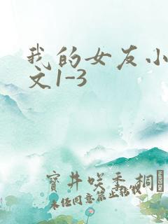 我的女友小洁全文1-3