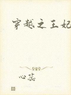 穿越之王妃有孕