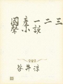 国产一二三区有声小说