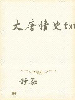 大唐情史txt