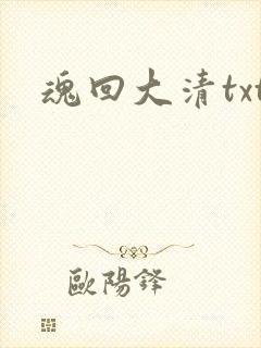 魂回大清txt