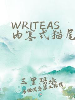 WRITEAS内塞式猫尾