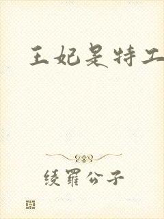 王妃是特工