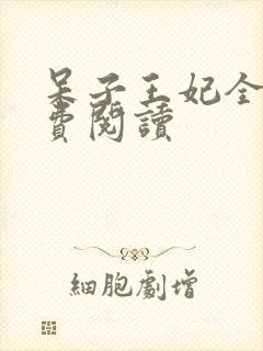 呆子王妃全文免费阅读