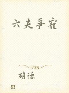 六夫争宠
