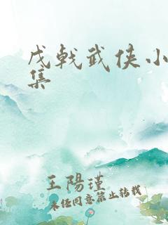 戊戟武侠小说全集