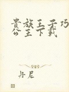 贵族王子巧遇穷公主下载