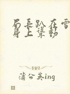 局长趴在雪白的身上耸动