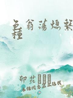 色翁荡熄系列借种