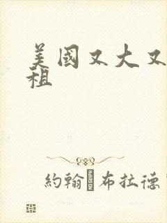 美国又大又长又租