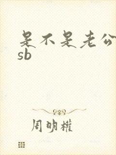 是不是老公的小sb