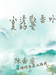小清欢番外篇完美的爱