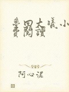 梦回大曦小说免费阅读