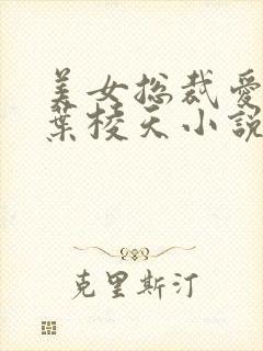 美女总裁爱上我叶棱天小说