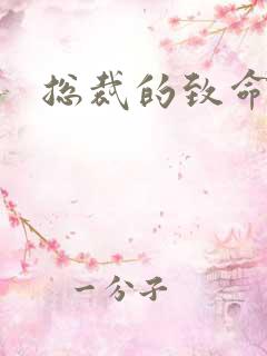 总裁的致命罪妻