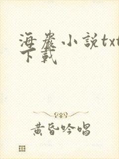 海岩小说txt下载