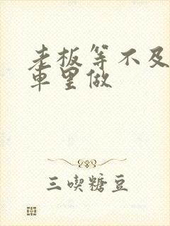 老板等不及了在车里做