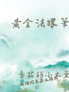 黄金法眼笔趣阁