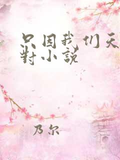 只因我们天生一对小说