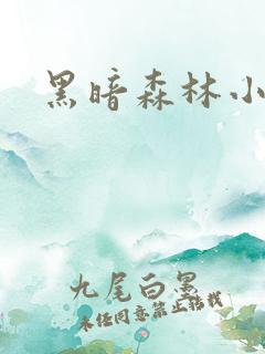 黑暗森林小说