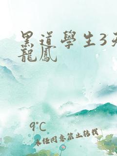 黑道学生3天门龙凤