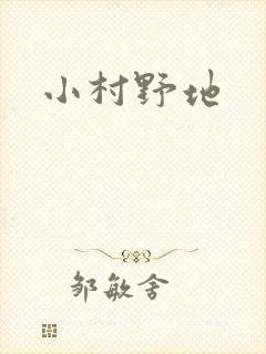 小村野地