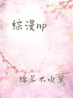 综漫np