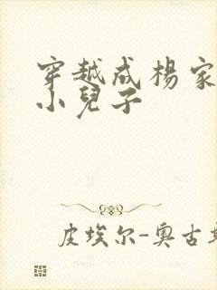 穿越成杨家将最小儿子