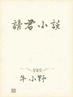 请君小说