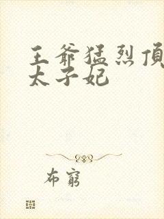 王爷猛烈顶弄H太子妃