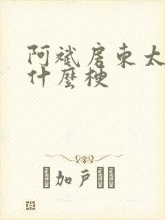 阿斌房东太太是什么梗