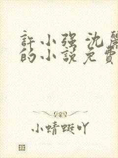 许小强 沈丽娟的小说免费阅读