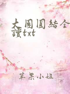 大团圆结全文阅读txt