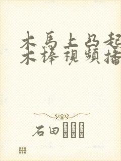 木马上凸起电动木棒视频播放