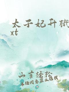 太子妃升职记txt