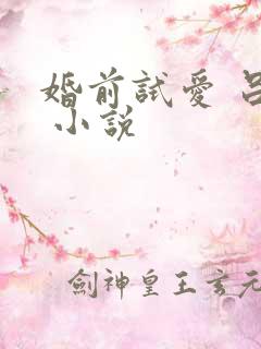 婚前试爱 吕颜 小说