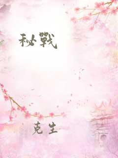 秘战