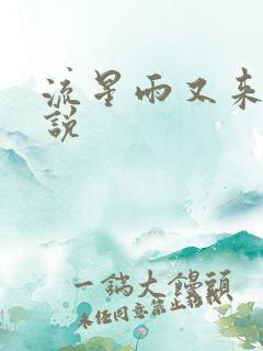 流星雨又来临小说