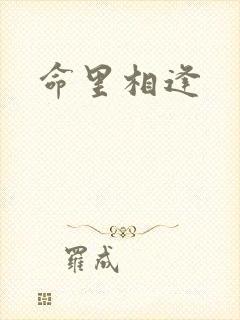 命里相逢