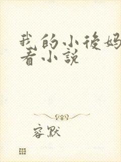 我的小后妈免费看小说